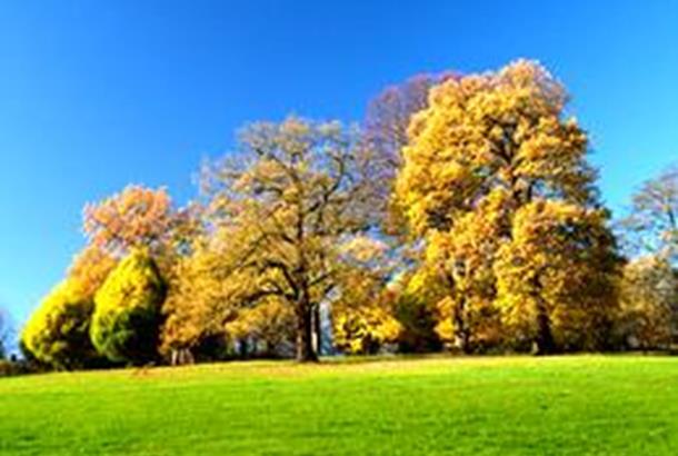 Allestree park